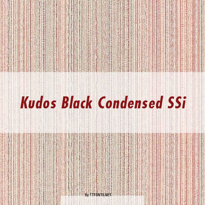 Kudos Black Condensed SSi example